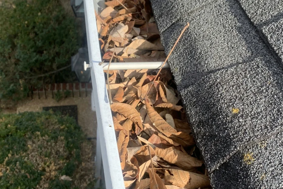 Gutter Cleaning Dunn